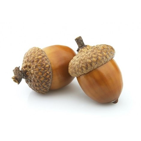 Zrębki wędzarnicze dąb 8L