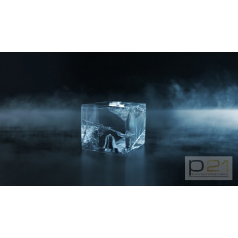 Kostkarka do lodu Hoshizaki 210kg/24h, poj. 110 kg zasobnik, chłodzenie powietrzem, IM-240NE-HC